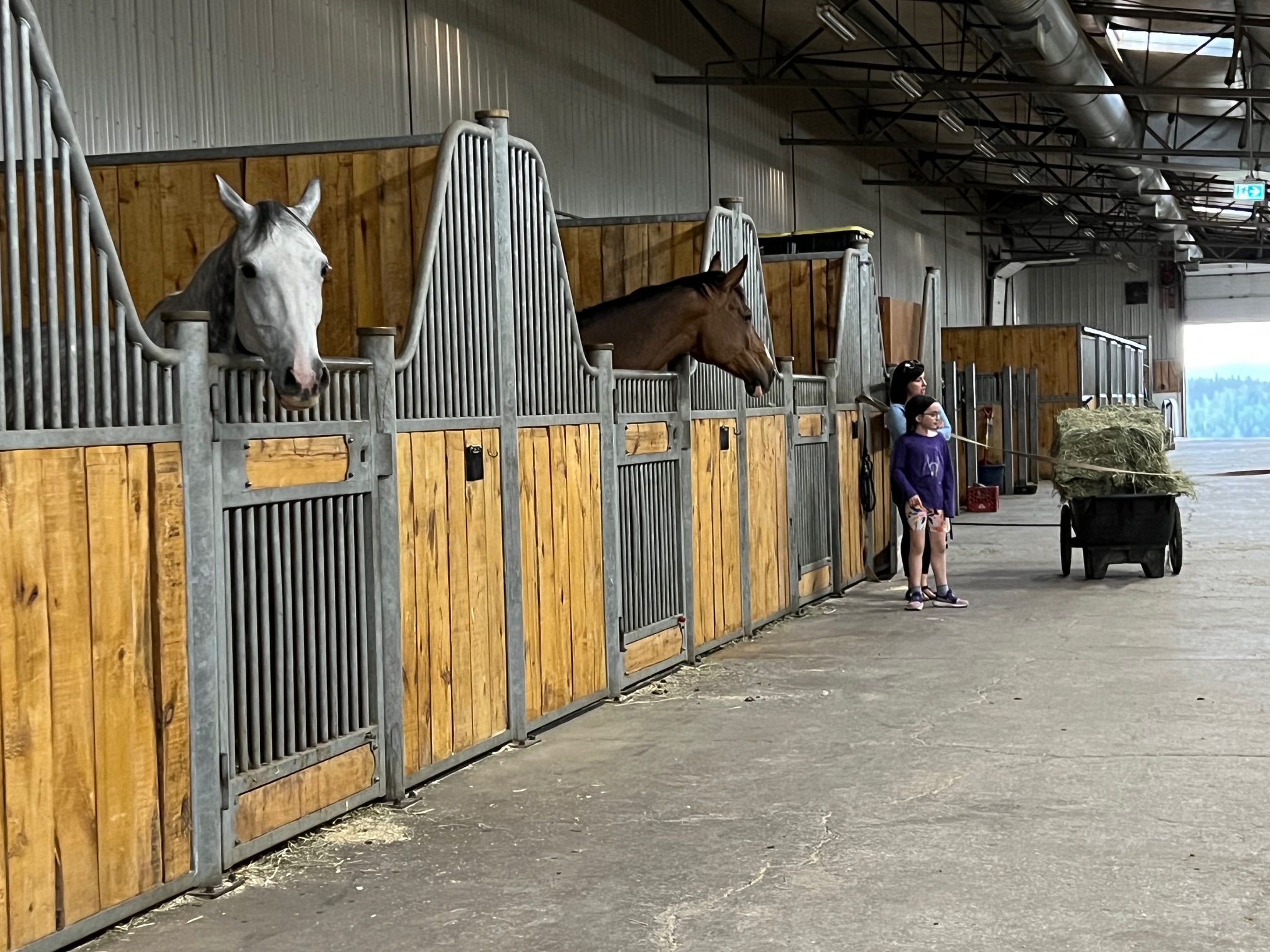 Heated barn facilities